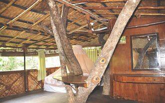 Safari Land Resort, Nilagiri 2